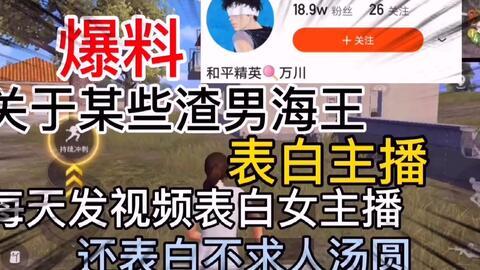 爆料海王视频,视频爆料揭示情感游戏背后真相