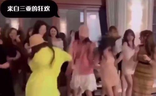 辛巴老婆爆料视频大全,揭秘背后真相与情感纠葛