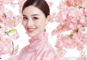端阳前妻爆料视频,揭秘婚姻背后的惊人真相